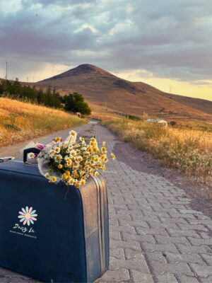 Valigetta accessori Set Azalea🧳